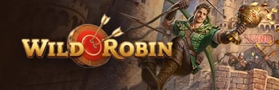 wildrobin-casino-banner